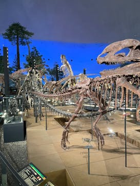 福井県立恐竜博物館に投稿された画像（2024/11/6）