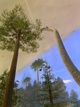 福井県立恐竜博物館に投稿された画像（2024/11/6）