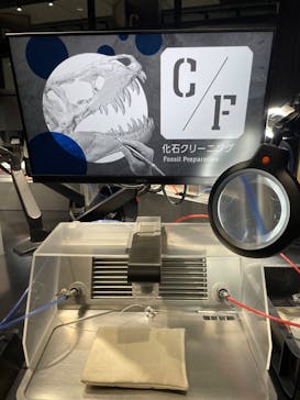 福井県立恐竜博物館に投稿された画像（2024/11/6）