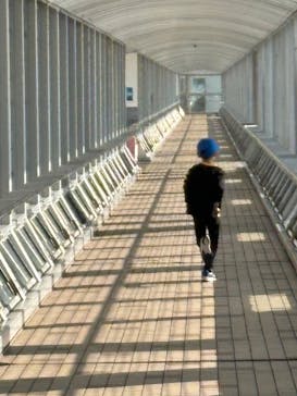 徳島県立 渦の道に投稿された画像（2024/11/6）