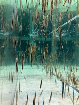 AOAO SAPPOROに投稿された画像（2024/11/6）