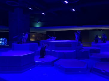 AOAO SAPPOROに投稿された画像（2024/11/6）