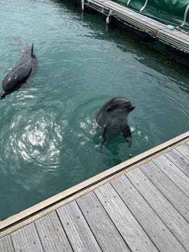 もとぶ元気村に投稿された画像（2024/11/6）