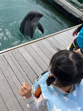 もとぶ元気村に投稿された画像（2024/11/6）