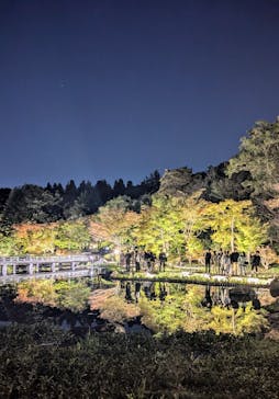 国営昭和記念公園 秋の夜散歩に投稿された画像（2024/11/6）