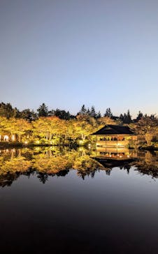 国営昭和記念公園 秋の夜散歩に投稿された画像（2024/11/6）