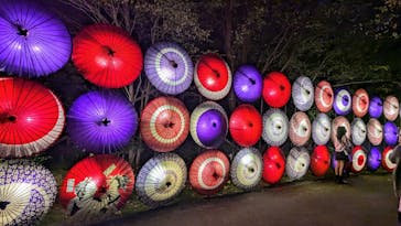 国営昭和記念公園 秋の夜散歩に投稿された画像（2024/11/6）