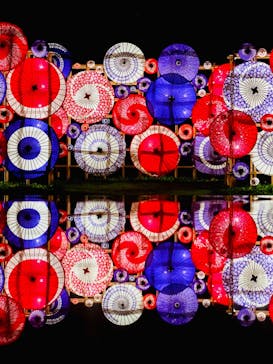 国営昭和記念公園 秋の夜散歩に投稿された画像（2024/11/6）