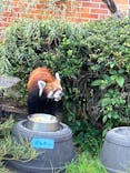 東武動物公園に投稿された画像（2024/11/7）