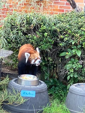 東武動物公園に投稿された画像（2024/11/6）