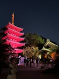 博多ライトアップウォーク実行委員会に投稿された画像（2024/11/7）