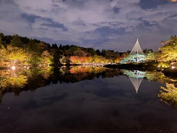 国営昭和記念公園 秋の夜散歩に投稿された画像（2024/11/7）