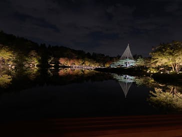 国営昭和記念公園 秋の夜散歩に投稿された画像（2024/11/7）