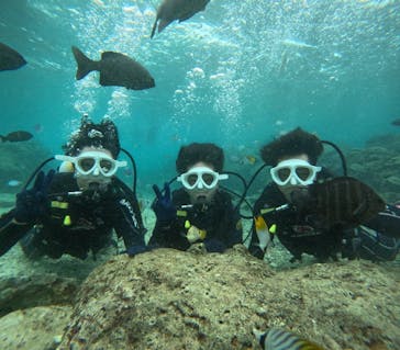 沖縄マリンサービス碧に投稿された画像（2024/11/7）