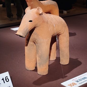 挂甲の武人 国宝指定50周年記念 特別展「はにわ」@東京国立博物館 平成館に投稿された画像（2024/11/7）