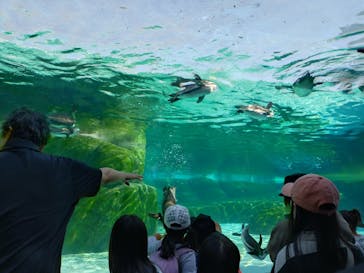 天王寺動物園に投稿された画像（2024/11/7）