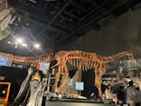 福井県立恐竜博物館に投稿された画像（2024/11/7）