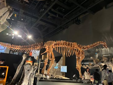 福井県立恐竜博物館に投稿された画像（2024/11/7）