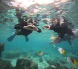 沖縄マリンサービス碧に投稿された画像（2024/11/7）