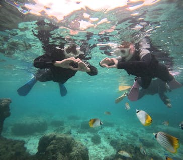 沖縄マリンサービス碧に投稿された画像（2024/11/7）