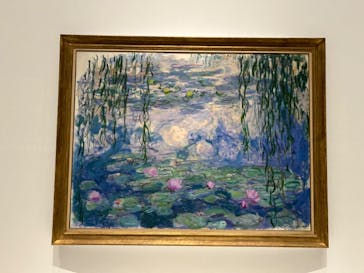 モネ 睡蓮のとき（国立西洋美術館）に投稿された画像（2024/11/7）