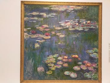 モネ 睡蓮のとき（国立西洋美術館）に投稿された画像（2024/11/7）