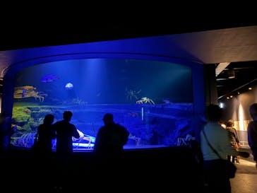 竹島水族館に投稿された画像（2024/11/7）