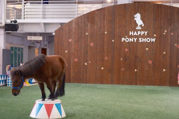 ノーザンホースパークに投稿された画像（2024/11/7）