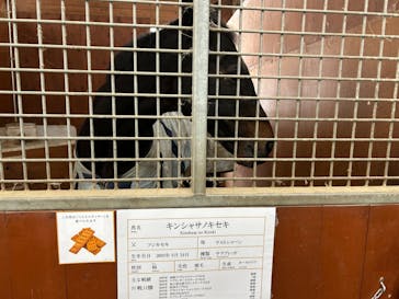 ノーザンホースパークに投稿された画像（2024/11/7）