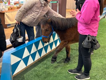 ノーザンホースパークに投稿された画像（2024/11/7）