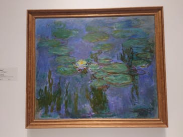 モネ 睡蓮のとき（国立西洋美術館）に投稿された画像（2024/11/7）