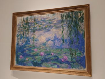 モネ 睡蓮のとき（国立西洋美術館）に投稿された画像（2024/11/7）