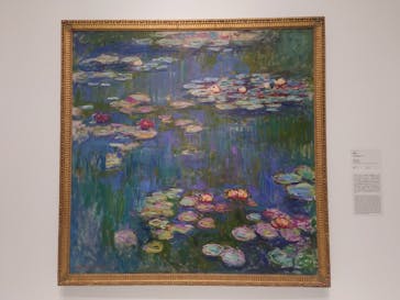 モネ 睡蓮のとき（国立西洋美術館）に投稿された画像（2024/11/7）