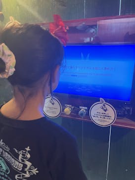 OKINAWAフルーツらんどに投稿された画像（2024/11/7）