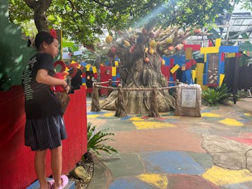 OKINAWAフルーツらんどに投稿された画像（2024/11/7）