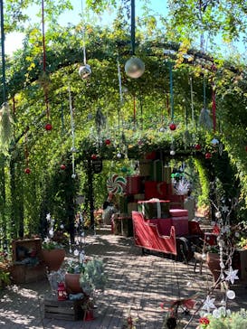 横浜イングリッシュガーデンに投稿された画像（2024/11/7）