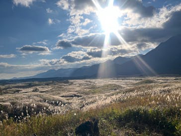 バギートレッキング富士山バギーに投稿された画像（2024/11/7）