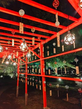 国営昭和記念公園 秋の夜散歩に投稿された画像（2024/11/7）