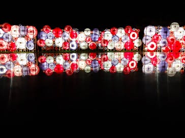 国営昭和記念公園 秋の夜散歩に投稿された画像（2024/11/7）