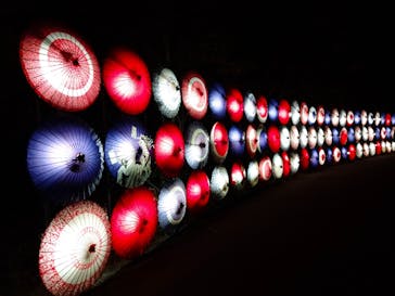 国営昭和記念公園 秋の夜散歩に投稿された画像（2024/11/7）