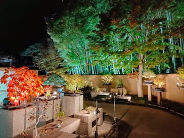 国営昭和記念公園 秋の夜散歩に投稿された画像（2024/11/7）