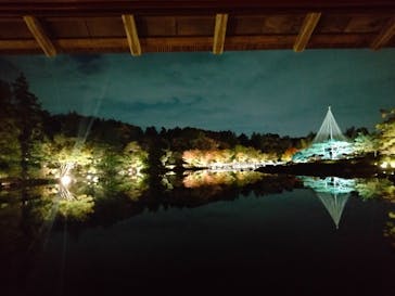 国営昭和記念公園 秋の夜散歩に投稿された画像（2024/11/7）