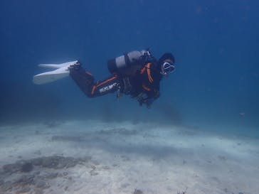 マイダイブに投稿された画像（2024/11/7）