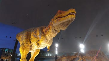 福井県立恐竜博物館に投稿された画像（2024/11/7）