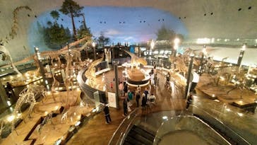 福井県立恐竜博物館に投稿された画像（2024/11/7）