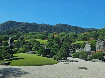 足立美術館に投稿された画像（2024/11/7）