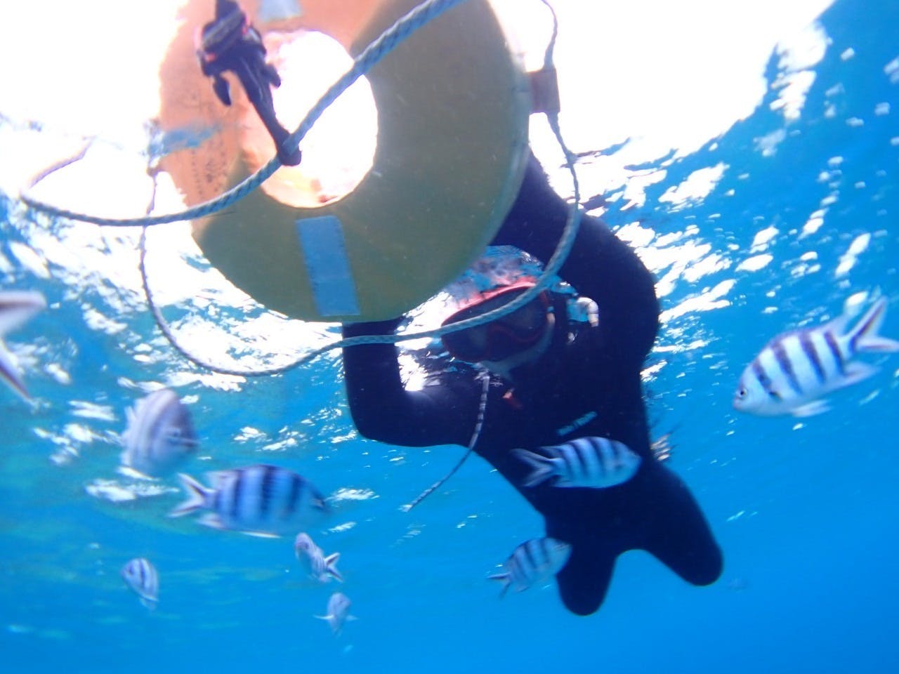 マリンショップ石垣島笑顔向上請負！青の洞窟シュノーケル3名チケット