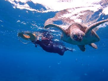 マリンショップ石垣島笑顔向上請負所に投稿された画像（2024/11/7）