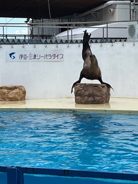 伊豆・三津シーパラダイスに投稿された画像（2024/11/7）