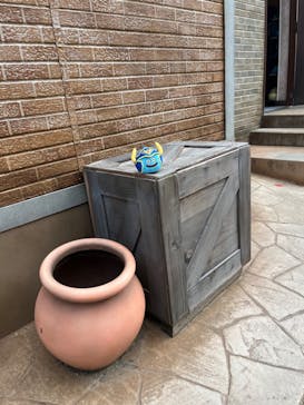 ニジゲンノモリに投稿された画像（2024/11/7）